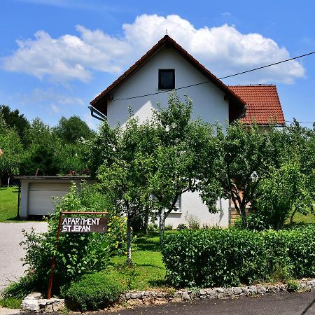 Apartment Stjepan Rakovica Eksteriør bilde