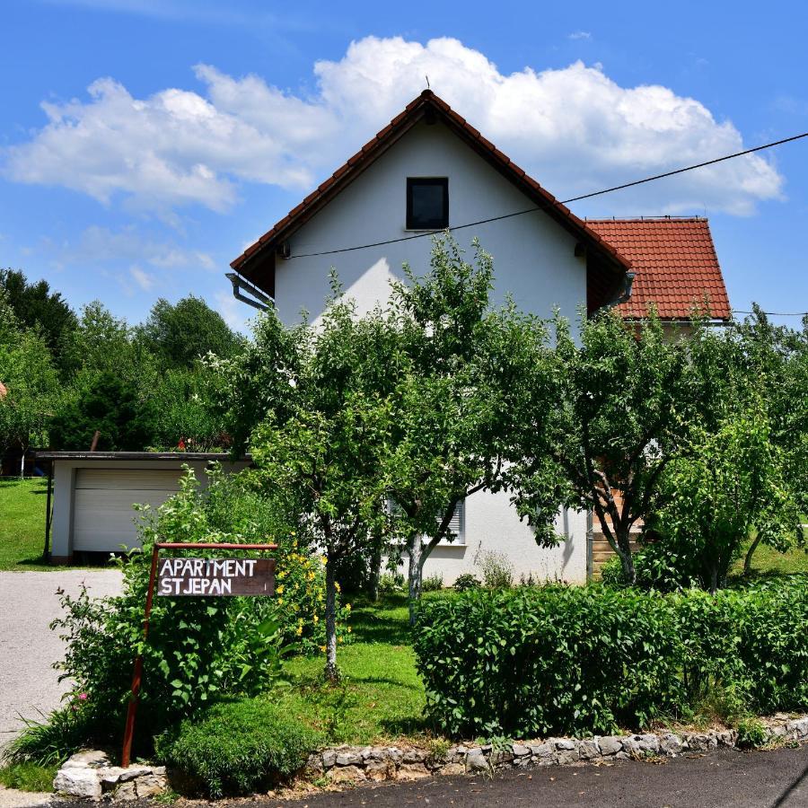 Apartment Stjepan Rakovica Eksteriør bilde